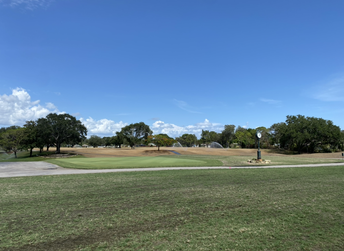 Back Clubhouse Lawn - June 17, 2023 - 2 weeks Post Sprigging