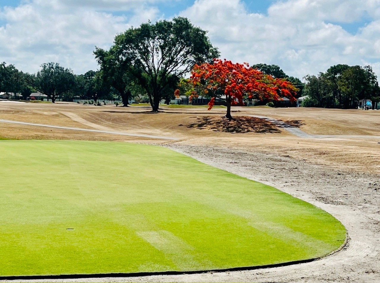 Putting green May 25-2023 - Copy