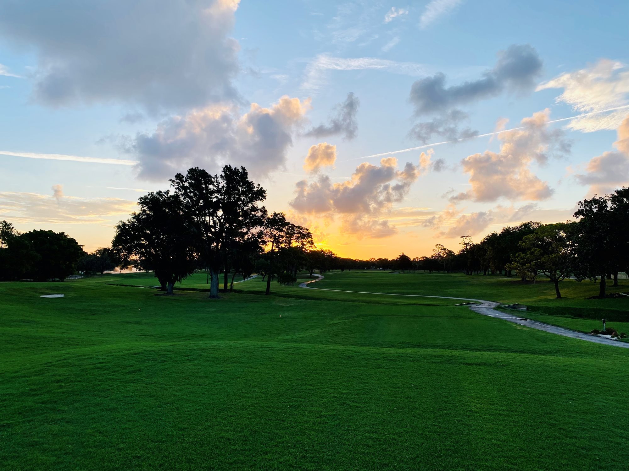 #1 Fairway & Tees 5 Weeks after Sprigging - July 8, 2023