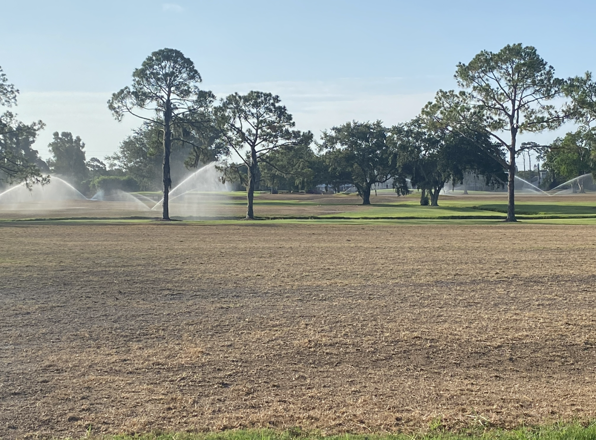 #2 - June 22, 2023 - Watering Sprigs